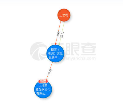 起底王思聰投資神話 吹出來的泡沫？